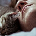 Не спеши радоваться, если кошка спит на тебе, и вот почему