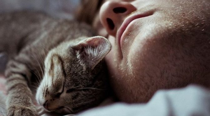 Не спеши радоваться, если кошка спит на тебе, и вот почему