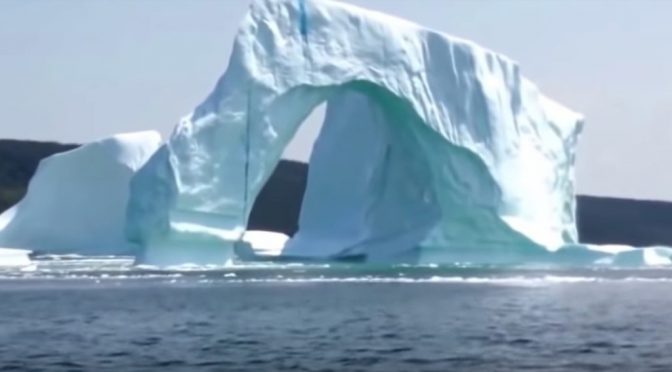 Девушка снимала айсберг, через минуту она кричала от ужаса…. Внимание на 0:16